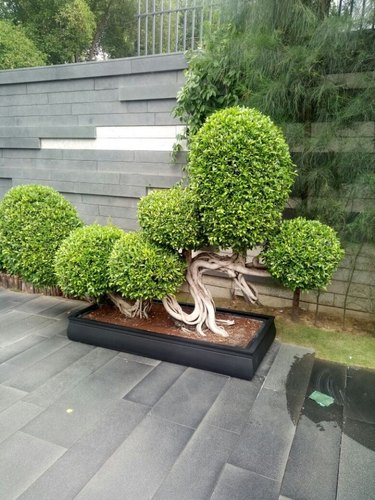 Rectangular FRP Tray Planter