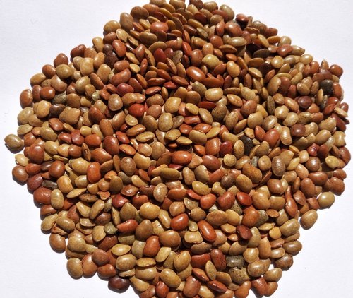 Organic Horse Gram, For Cooking, Certification : FSSAI Certified