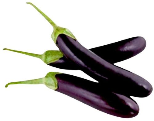 Organic Fresh Brinjal, Variety : Big, Blue, Glass, Long