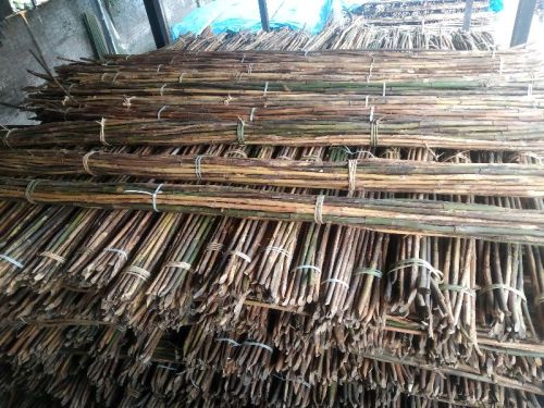 Natural Jeng Bamboo Cane, Width : 50-100 Mm