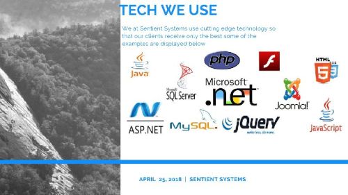 Search Engine Optimization