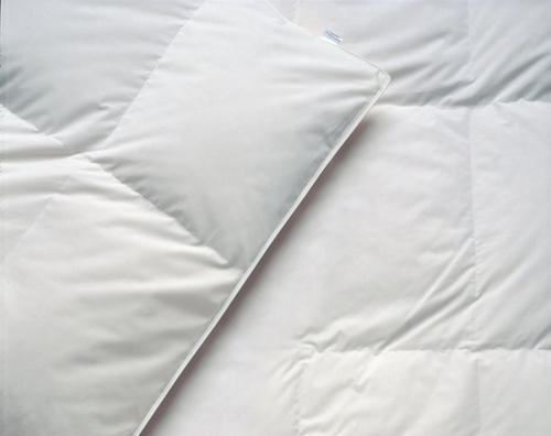 Cotton Duvet