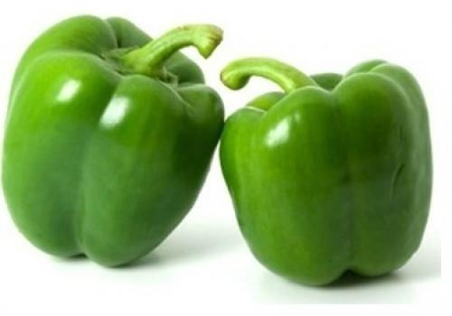 SIDHDHI VINAYAK Fresh Capsicum, Packaging Size : 1Kg, 5Kg, 10Kg, 20Kg, 25Kg