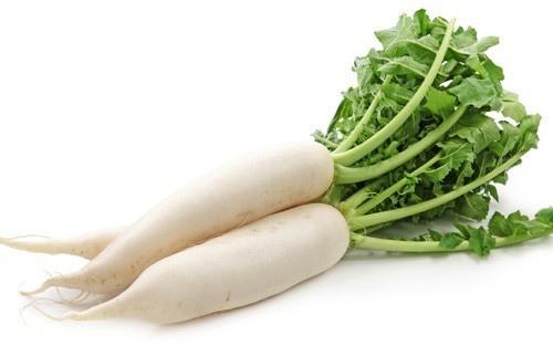 Fresh Radish, Packaging Size : 1Kg, 5Kg, 10Kg, 20Kg, 25Kg