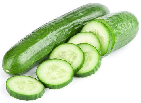 SIDHDHI VINAYAK Organic Cucumber, Packaging Size : 1Kg, 5Kg, 10Kg, 20Kg, 25Kg