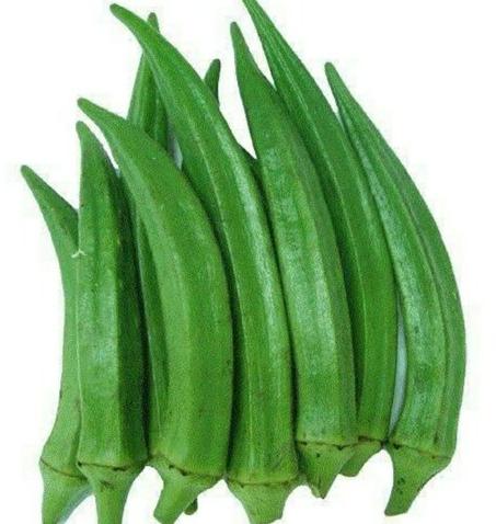 SIDHDHI VINAYAK Organic Lady Finger, Packaging Size : 1Kg, 5Kg, 10Kg, 20Kg, 25Kg