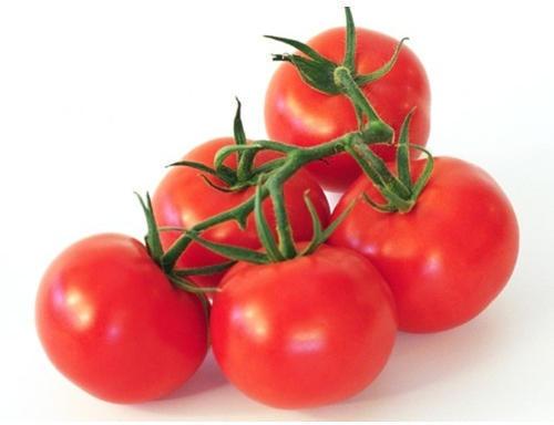 Organic Tomato, Certification : CE Certified, ISO 9001:2008, FSSAI Certified, FDA Certified