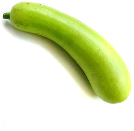 Organic Fresh Bottle Gourd, Color : Green