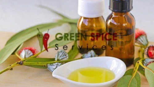 Eucalyptus oil, Shelf Life : 5 YEARS