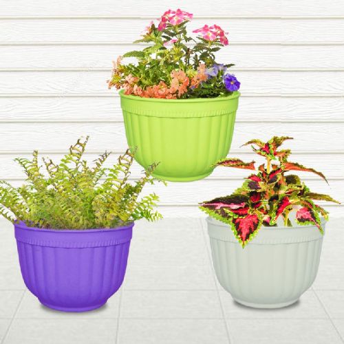 Set Of SIX Self Watering Wall(or Grill) Hanging 8.0
