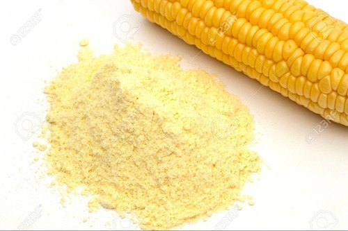 Maize Flour, For Human Food, Style : Fresh