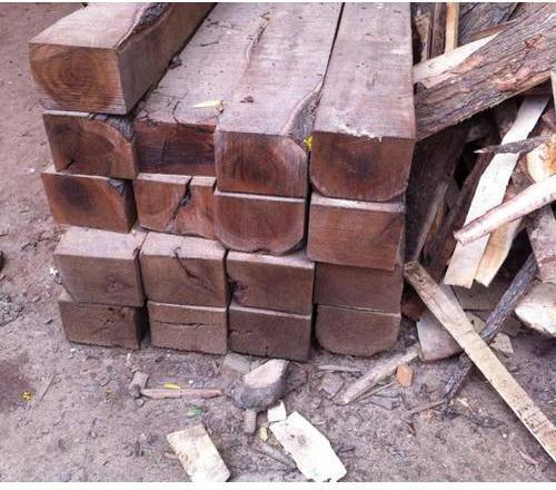 Wooden Pure Babool Wood, For Making Furniture, Boats Handicrafts Items, Density : 500~ 600kgs/m3