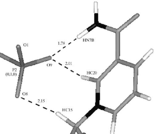 Nicotinamide Nucleoside