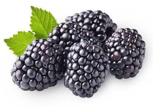 Fresh Blackberry