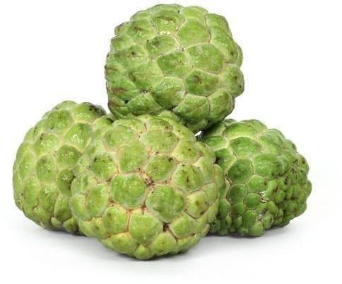 Organic Fresh Custard Apple, Color : Green