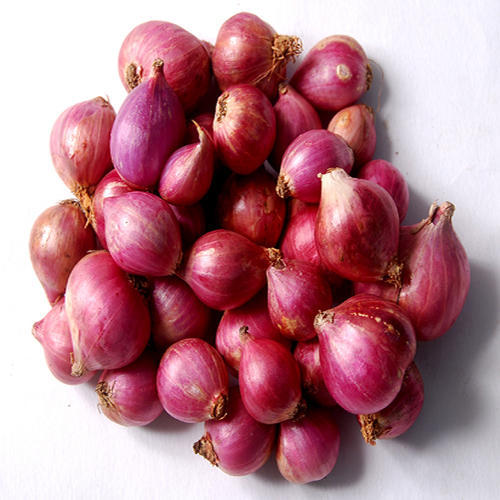 Organic Fresh Small Onion, Shelf Life : 15days