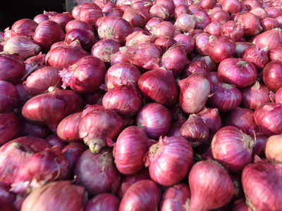 Common Fresh Red Onion, For Cooking, Recycling, Packaging Type : Loose, Plastic Packet, Plastic Gunny