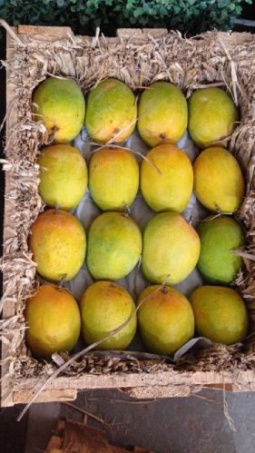 Natural Alphonso Mango, For Human Consumption, Packaging Type : Wooden Box