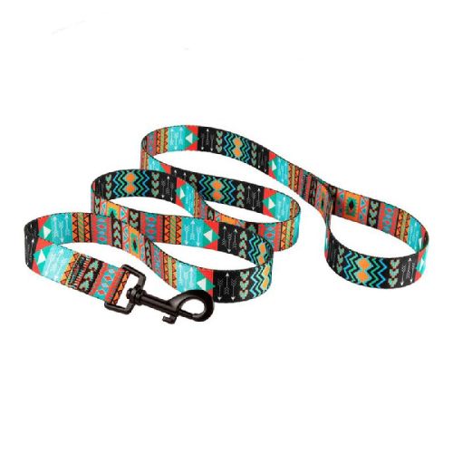 Nylon Dog Collar