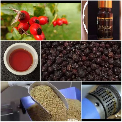 Rosehip Oil