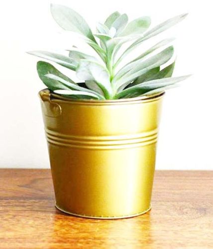 Round Metal Simple Iron Planter Pot, For Home, Capacity : 0-10ltr