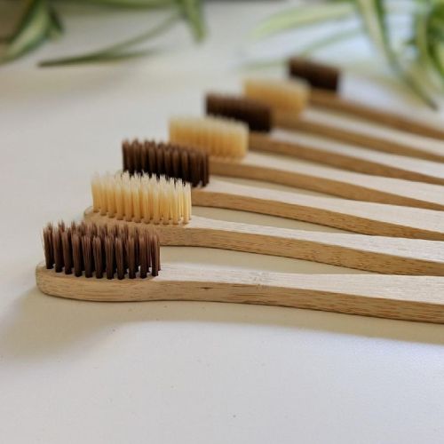 Bamboo Tooth Brush