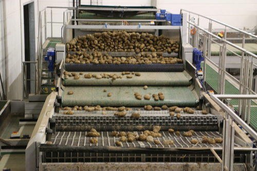 Potato Sorting Machine, Capacity : 5 Ton