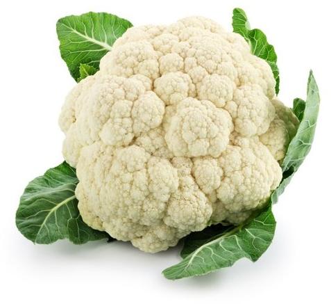 Fresh Cauliflower, Packaging Type : Plastic Bag, Jute Bag