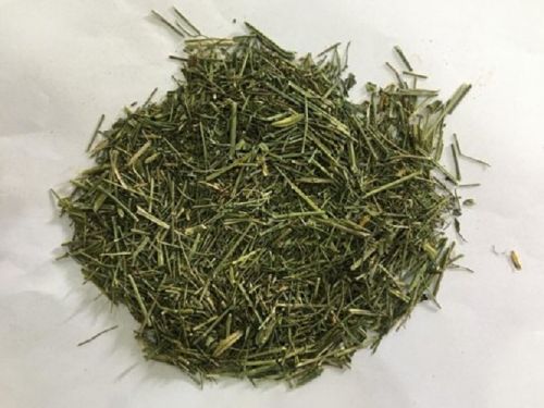 Kalmegh, For Pharmaceutical Raw Materials, Grade : Medicinal Grade