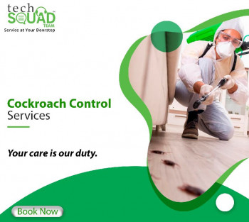 Cockroach Control Services Near Me In Chennai