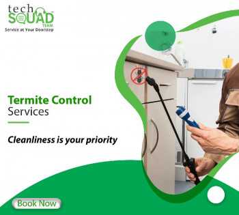 Termite Control Services Near Me In Chennai