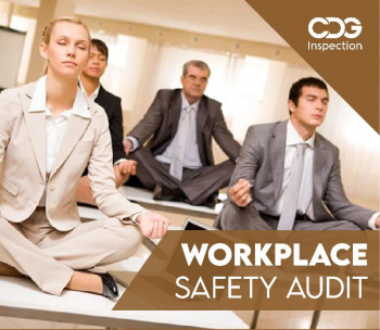 Workplace Audit And Inspection