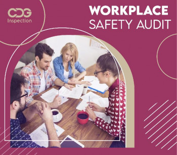 Workplace Health and Safety Audit In India