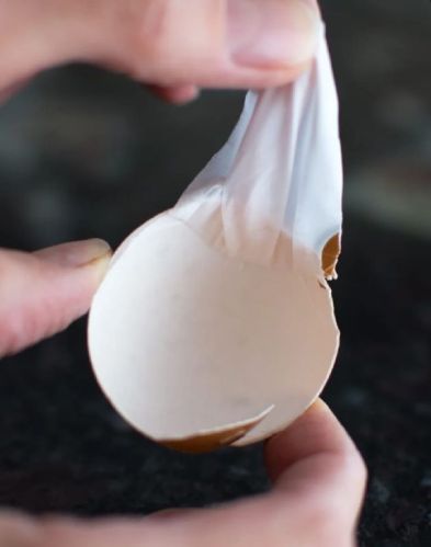 Unpolished Raw Natural Eggshell Membrane Powder, For Cosmetics, Pharma, Packaging Type : Plastic Pouch