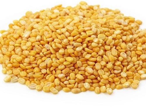 Medium Polished Yellow Moong Dal, Brand Name : Ogan Overseas