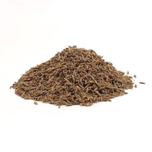 Ogan Overseas Organic Regular Cumin Seeds, For Cooking, Specialities : Good Quality