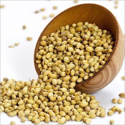 Ogan Overseas Organic Scooter Coriander Seeds, For Cooking, Specialities : Good Quality