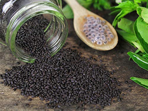 MAKRIPA HERB Basil Seeds, Packaging Type : Plastic Pouch, Plastic Packet, Plastic Box, Paper Box