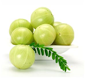 Natural Fresh Amla, Shelf Life : 7-10days