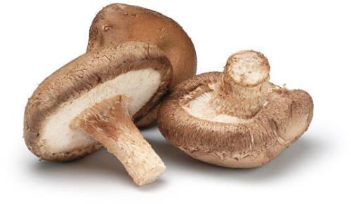 Common Fresh Shitake Mushroom, For Cooking