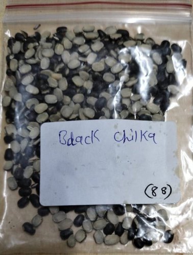 Split Black Urad Dal, Packaging Type : Loose
