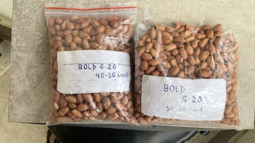 Bold Groundnut Kernels, Color : Redish