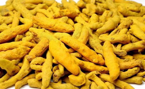 Natural Unpolished Raw Turmeric, For Cooking, Spices, Food Medicine, Form : Finger