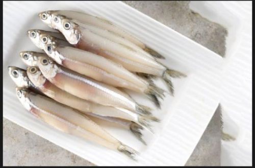 Silver Anchovy Fish, For Cooking, Freezing Process : Cold Storage