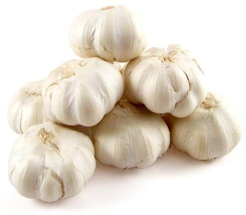 Organic Fresh Garlic, For Cooking, Style : Natural