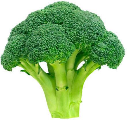 Organic Fresh Broccoli, For Cooking, Style : Natural