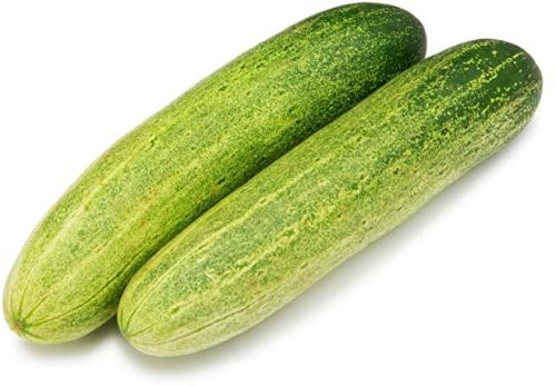 Fresh Cucumber,fresh Cucumber, Color : Green