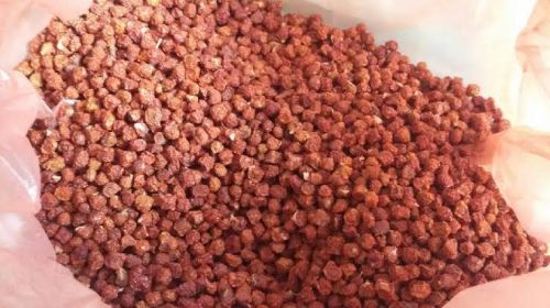 Organic Gloriosa Superba Seeds, For Medicinal Uses, Color : Red