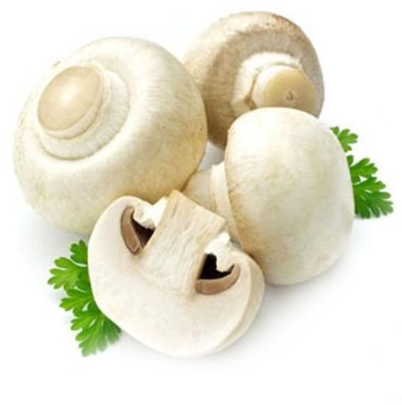 Organic Fresh Button Mushroom, For Cooking, Packaging Type : Cotton Box