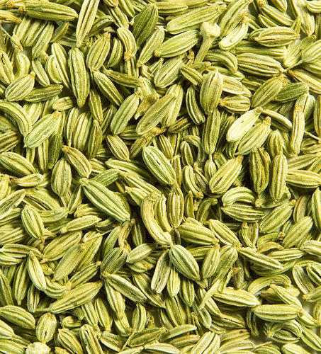 Organic Fennel Seeds, Packaging Type : Plastic Packet